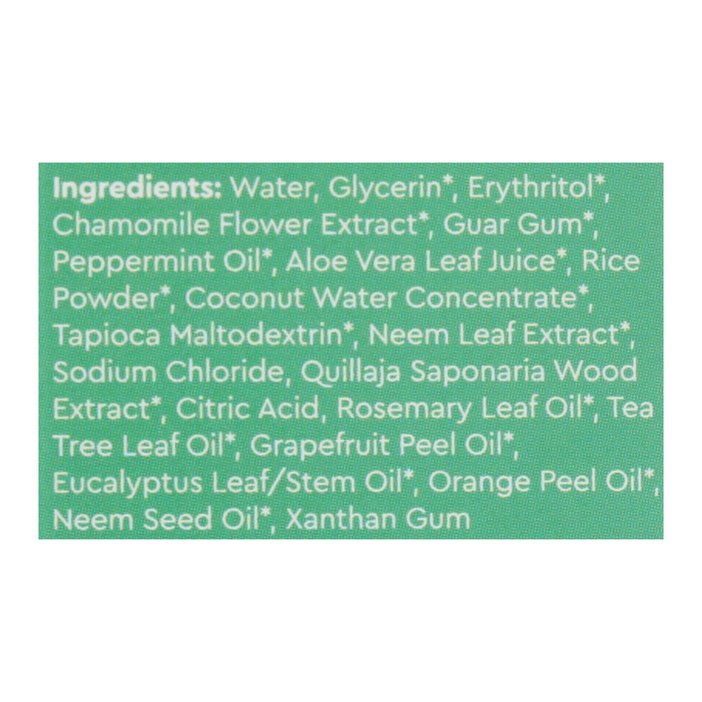 Radius Whitening Mint Aloe Neem Toothpaste  - 1 Each - 3 OZ