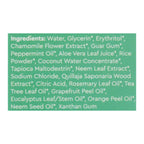 Radius Whitening Mint Aloe Neem Toothpaste  - 1 Each - 3 OZ